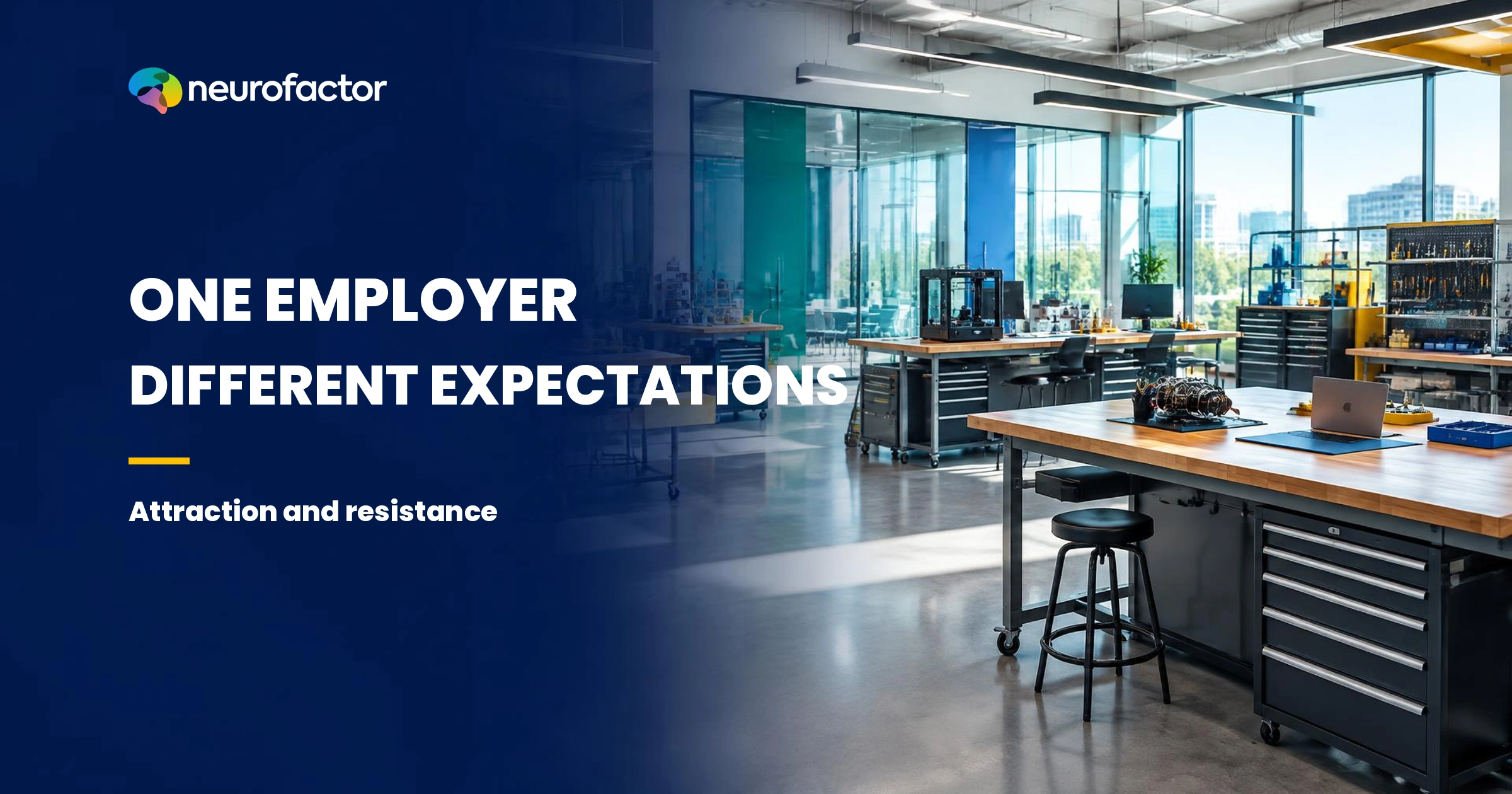 Conceptual employer image with two possible expectations: attraction and resistance towards the same organisation.